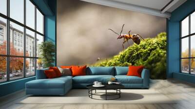 Forest ant closeup Wall mural