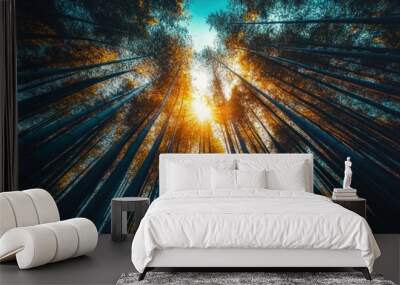 A low angle view of a dense bamboo forest with the sun shining through the canopy. Wall mural