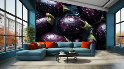 Fresh eggplants with water drops on a dark background.  Wall mural