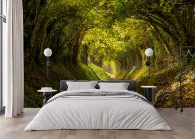 Halnaker tree tunnel in West Sussex UK with sunlight shining in. This is an ancient road which follows the route of Stane Street, the old London to Chichester road.  Wall mural