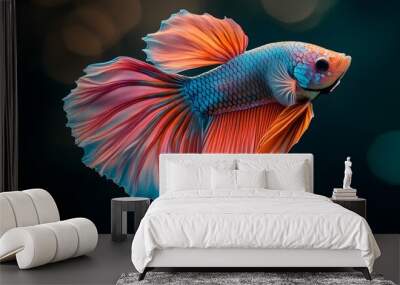 Colorful betta fish in vibrant red and orange hues against a dark aquatic background Wall mural