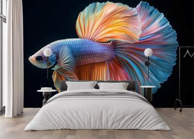 Colorful betta fish in vibrant red and orange hues against a dark aquatic background Wall mural