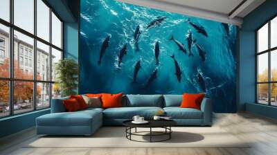 Pod of dolphins swimming in clear blue ocean water from an aerial view Wall mural