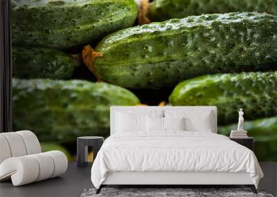 fresh ripe green cucumbers Wall mural