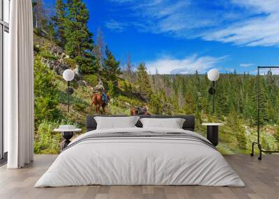 trail riding in the rocky mountains Wall mural