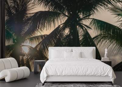 coconut palms and blue cloudy sky. natural summer background Wall mural