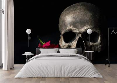 Human skull with red rose  Wall mural