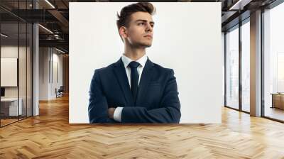 business person Wall mural