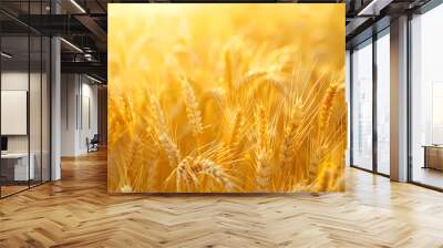 golden wheat field Wall mural