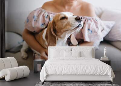 Charming beagle dog sniffs something in front of him while lying on girl's knees. Young woman in beautiful pink dress and silver accessories holding her curious puppy sitting on sofa. Wall mural