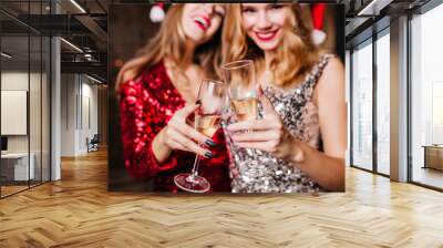 Indoor close-up photo of two winsome girls in new year hats celebrating holidays together. Portrait of funny ladies clinking glasses of champagne in christmas day. Wall mural