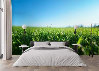 Early Morning Scenic Landscape of Lush Green Grass and Bright Blue Sky Wall mural