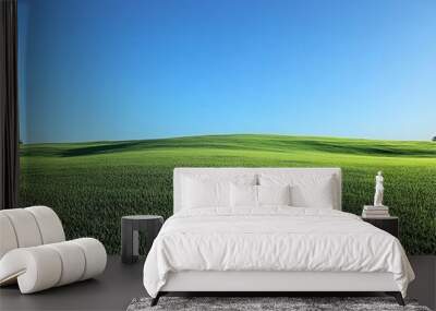 Lush green grassy field under clear blue sky in a tranquil countryside landscape Wall mural