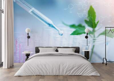 Dropper over test tube dropping sample chemical into sample herbal plaint , biotechnoloy research concept.Natural extracts Wall mural