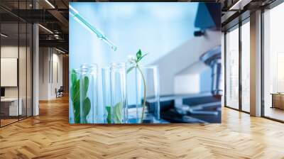 Dropper over test tube dropping sample chemical into sample herbal plaint , biotechnoloy research concept.Natural extracts Wall mural