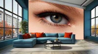 Cosmetics & make-up. Beautiful female eye with sexy black liner Wall mural