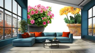 Beautiful potted flowers in bloom garden decor transparent background Wall mural