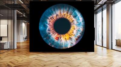 eye iris Wall mural