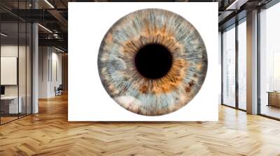 eye isolated on white Wall mural