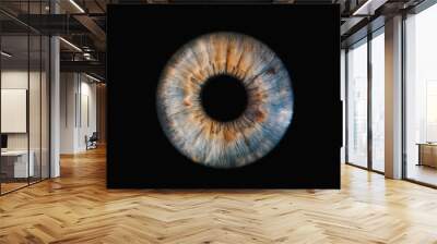 human iris on black background Wall mural