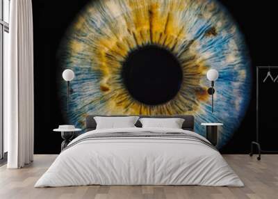 human iris Wall mural