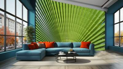 Palm tree leaf summer green nature abstract background Wall mural