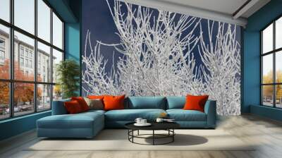 Crystal branches Wall mural