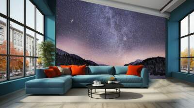 Aerial view of park surrounded by trees under blissful Milky way in sky Wall mural