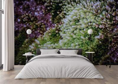 green moss background Wall mural