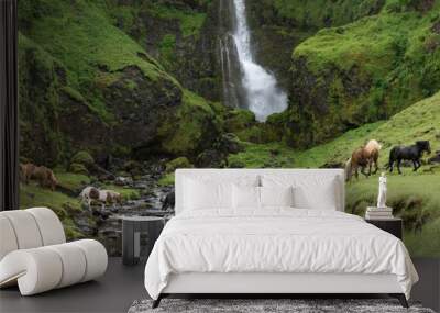 Herd of Icelandic horses crossing a stream in front of a waterfall	 Wall mural