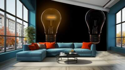 two light bulb options on and off on a black background Wall mural