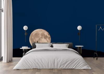 to see the moon light night with lantern Wall mural