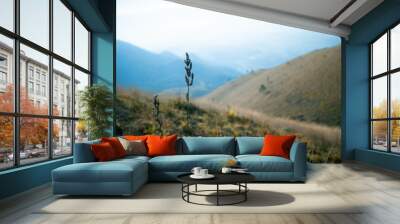 beautiful mountain peaks and grass, blue, nature, fresh, amazing, landscape Wall mural