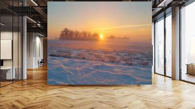 Beautiful winter sunrise illuminating a snowy field, captured in raw style with AR00829 camera settings. Wall mural