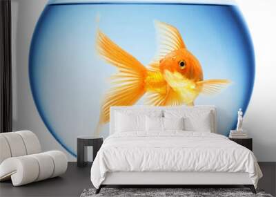 Close up view of fish bowl isolated Wall mural