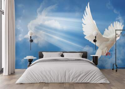 Dove in the air with wings wide open Wall mural