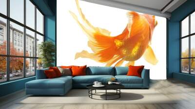 Gold Fish isolated Wall mural