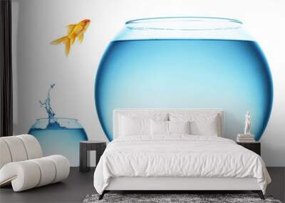 goldfish jumping out of the water Wall mural