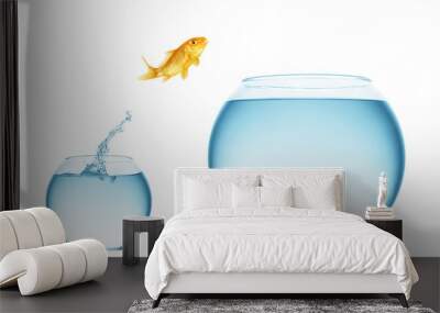 goldfish jumping out of the water Wall mural