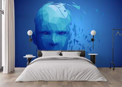 Human head, low poly style 3d vector wireframe object broken into different particles. Wall mural