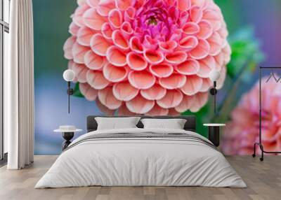 pink dahlia blossom with bokeh background Wall mural