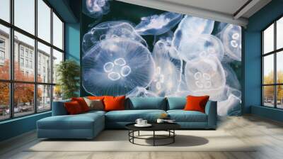 abstract jellyfish view for design Wall mural