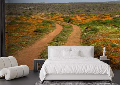 A sandy two track farm road through orange wild flowers in Nam,aqualand, South Africa Wall mural