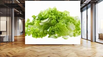 finely chopped lettuce isolated on transparent background Wall mural