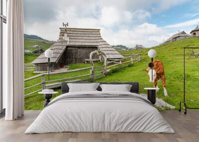 Landscape of Slovenia. A calf stands in front of a fence and a traditional farm in Velika Planina. Wall mural