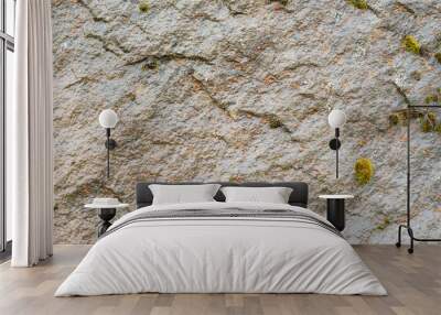 mossy rock texture Wall mural