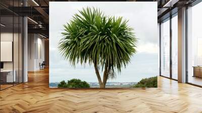 palm tree of blue sky Wall mural