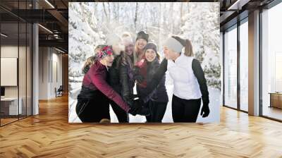 Group of friends enjoying jogging in the snow in winter Wall mural