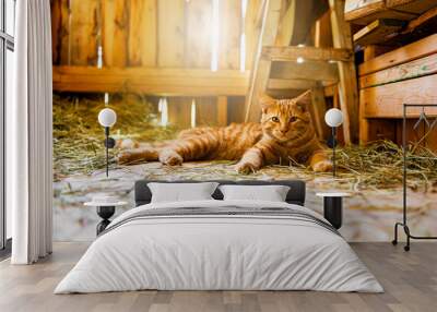 Orange cat standing inside farm on bright sunny spring day Wall mural