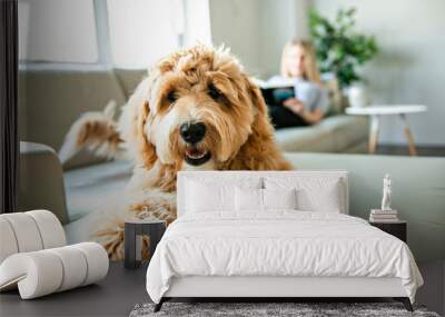 woman with his Golden Labradoodle dog reading at home Wall mural